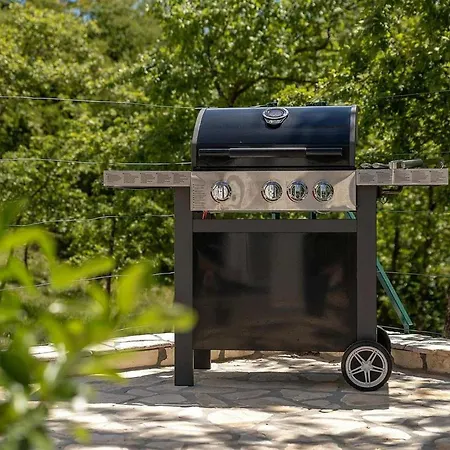 וילה Sofia Nedeščina