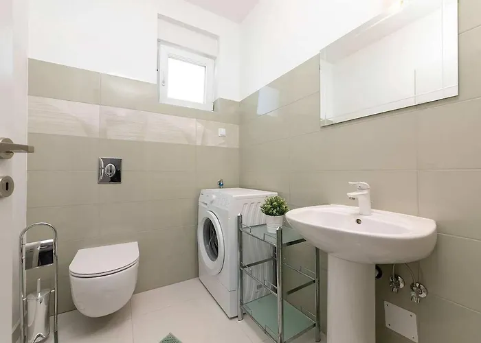 Sofia Vila Nedescina