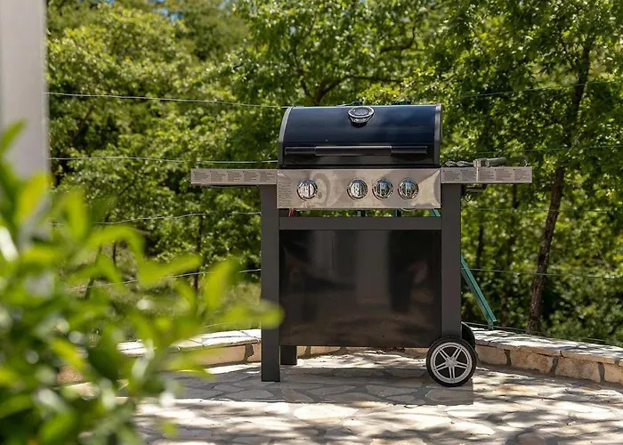 Vila Sofia Nedescina